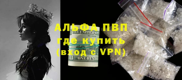 ECSTASY Лагань
