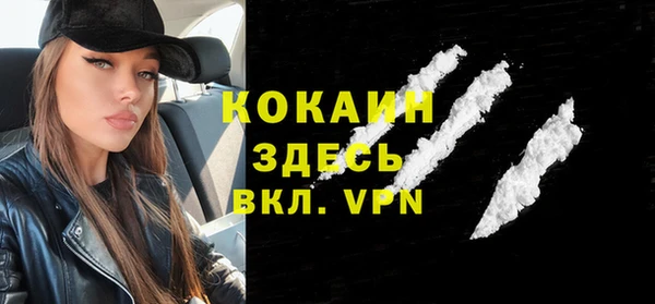 тгк Туринск