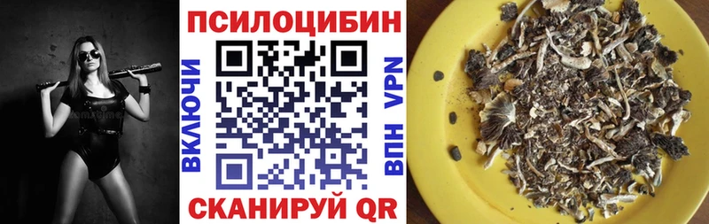 где купить   Заинск  Галлюциногенные грибы ЛСД 