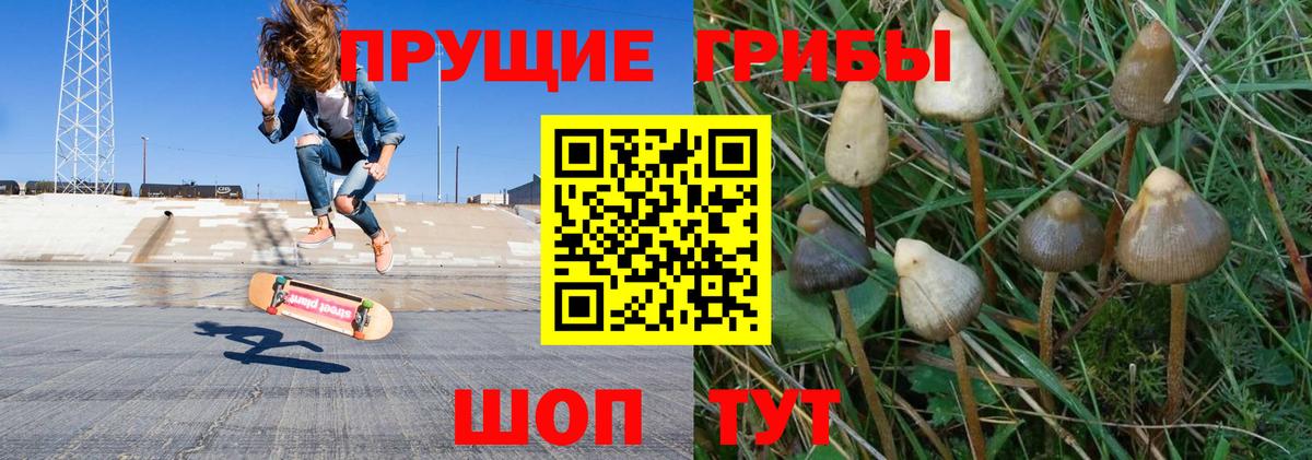 Заинск  Псилоцибиновые грибы ЛСД  Галлюциногенные грибы MAGIC MUSHROOMS  Вход с VPN 