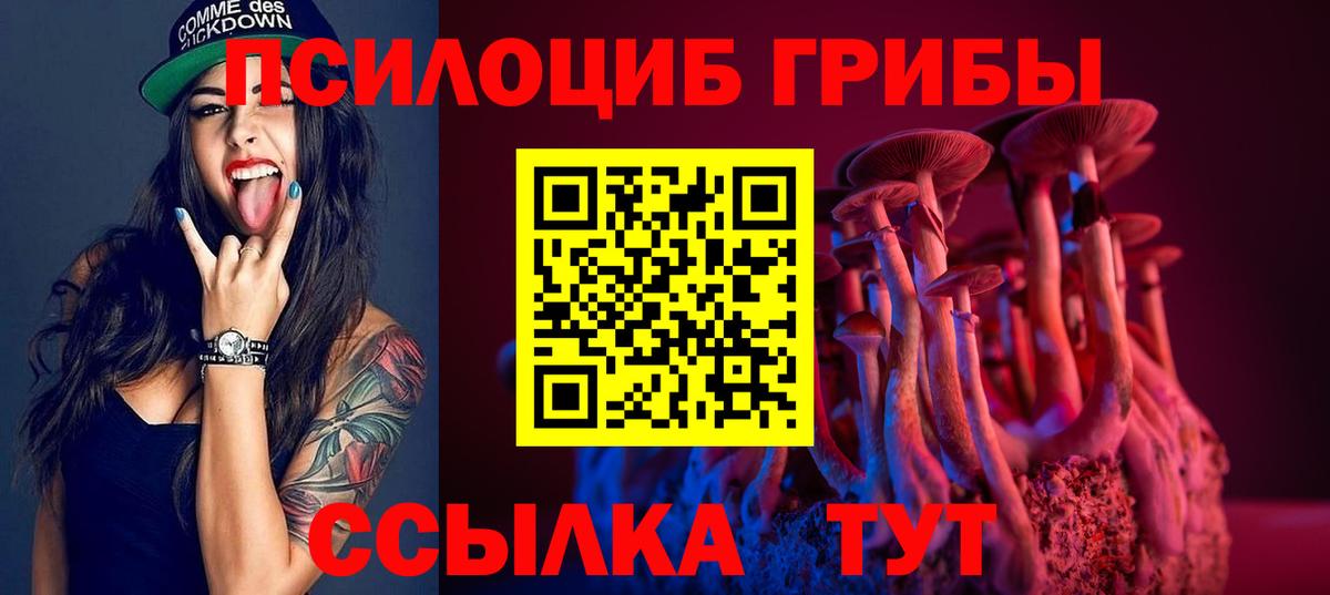 Псилоцибиновые грибы Psilocybe Заинск